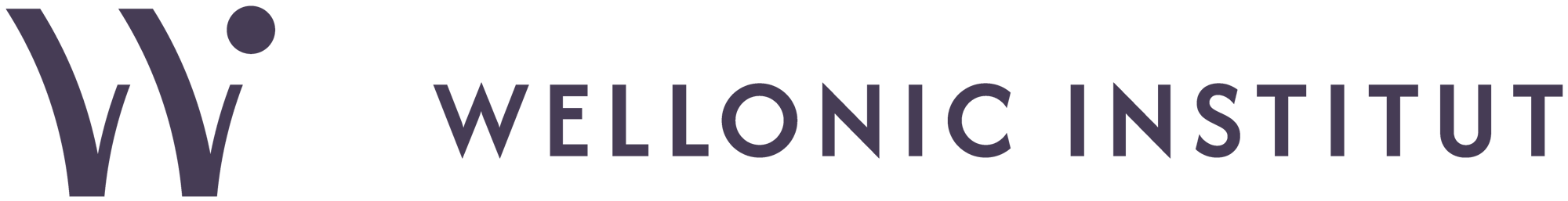 6886e97d7d27e67ba850ab79_wellonic_institute_logo_rz_rgb_deep_purple